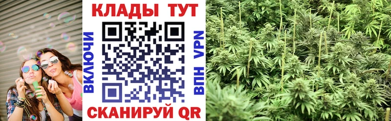 Магазин наркотиков Туапсе ОМГ ОМГ сайт  АМФ  БУТИРАТ  Гашиш  Cocaine  Мефедрон  Alpha PVP  Марихуана 