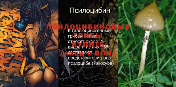Альфа ПВП Баксан
