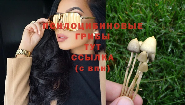 Альфа ПВП Баксан