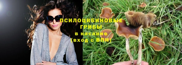 герыч Балахна